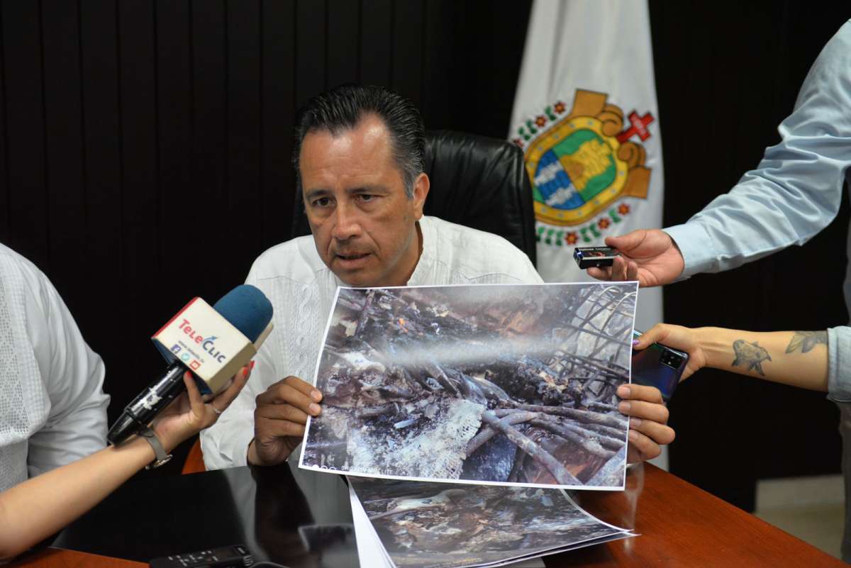 Por negligencia mueren animales en peligro de extinción dentro del Acuario de Veracruz