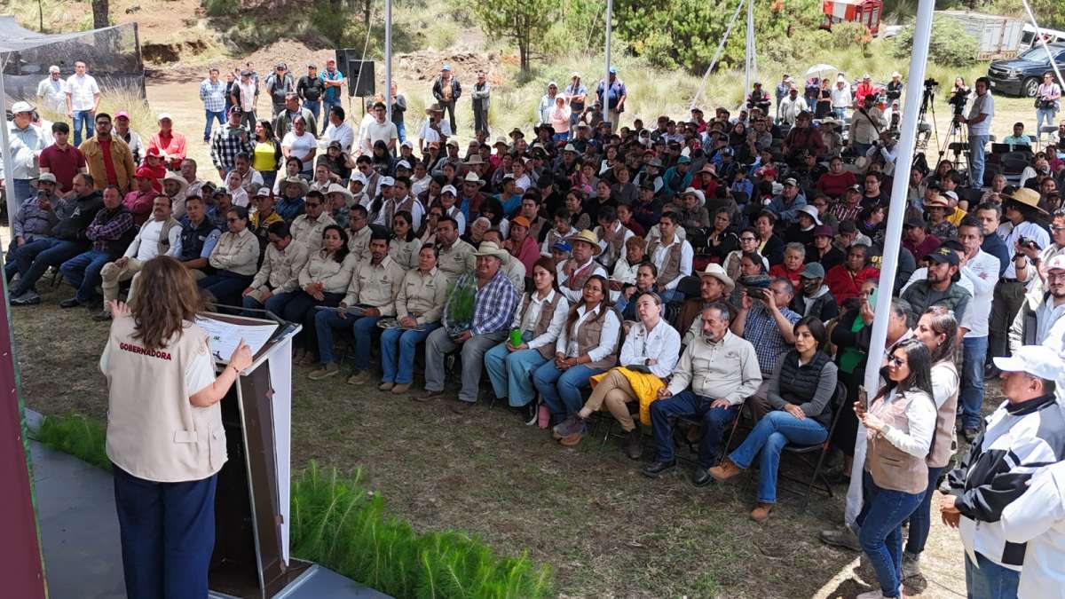 Gobernadora Rocío Nahle pone en marcha programa estatal Pulmones Verdes para 30 Áreas Naturales Protegidas